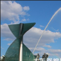 cp