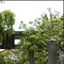 䓌w όX|bg