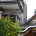 JSq_